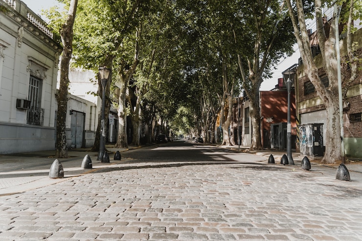 Ücretsiz Fotoğraf front view of city street view with trees