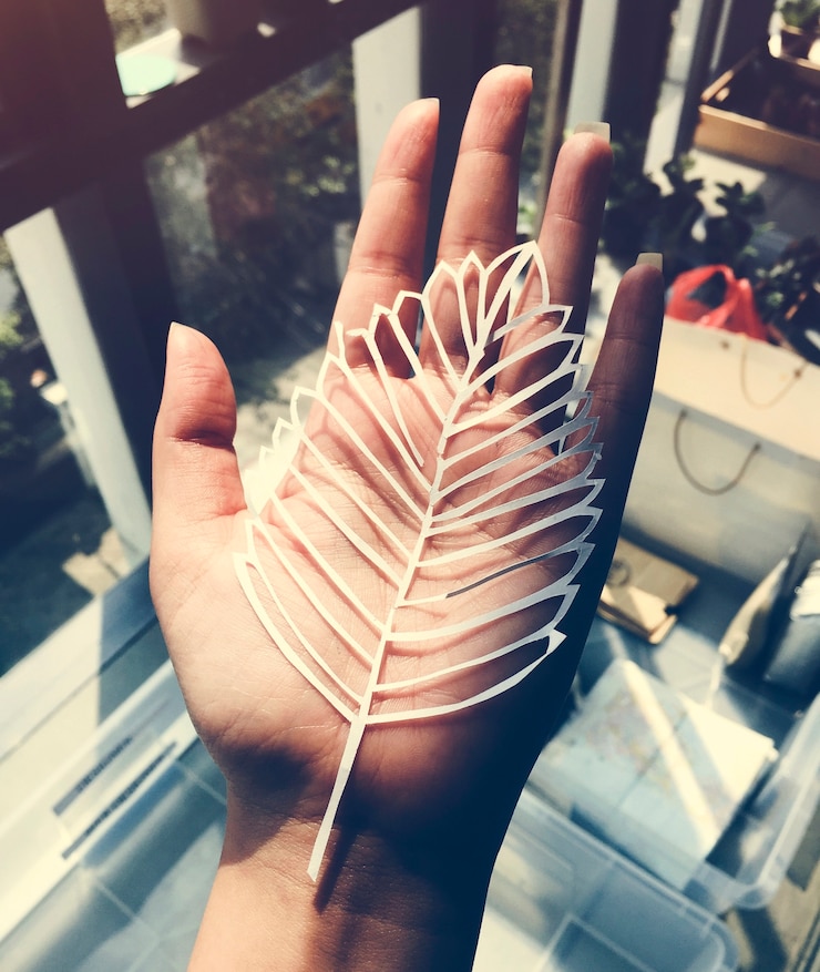 Ücretsiz Fotoğraf hand show the paper leaf plant
