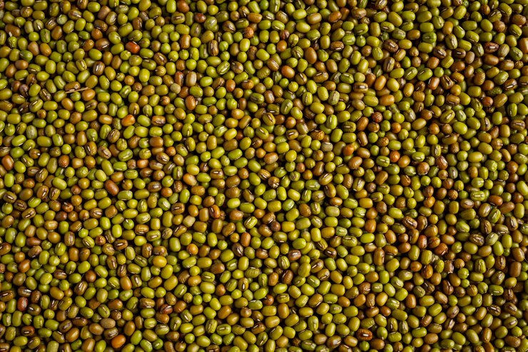 Ücretsiz Fotoğraf sprouts seed background