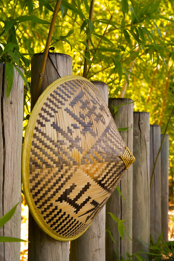 Ücretsiz Fotoğraf tropikal yeşil bambu ormanı