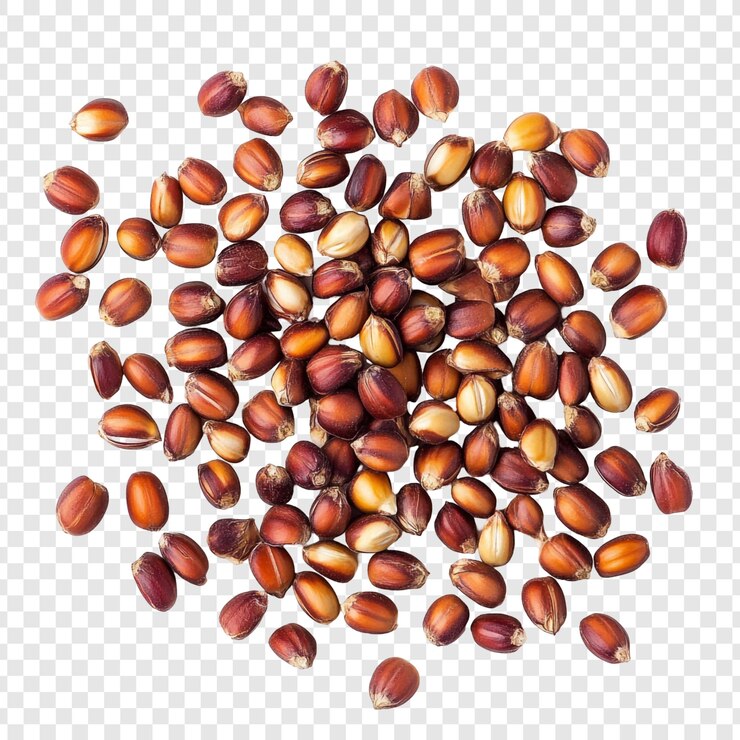 Ücretsiz PSD a scatter of dark red corn kernels
