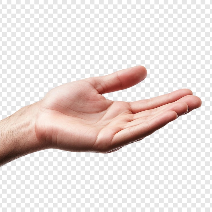 Ücretsiz PSD open hand gesture of giving receiving or help
