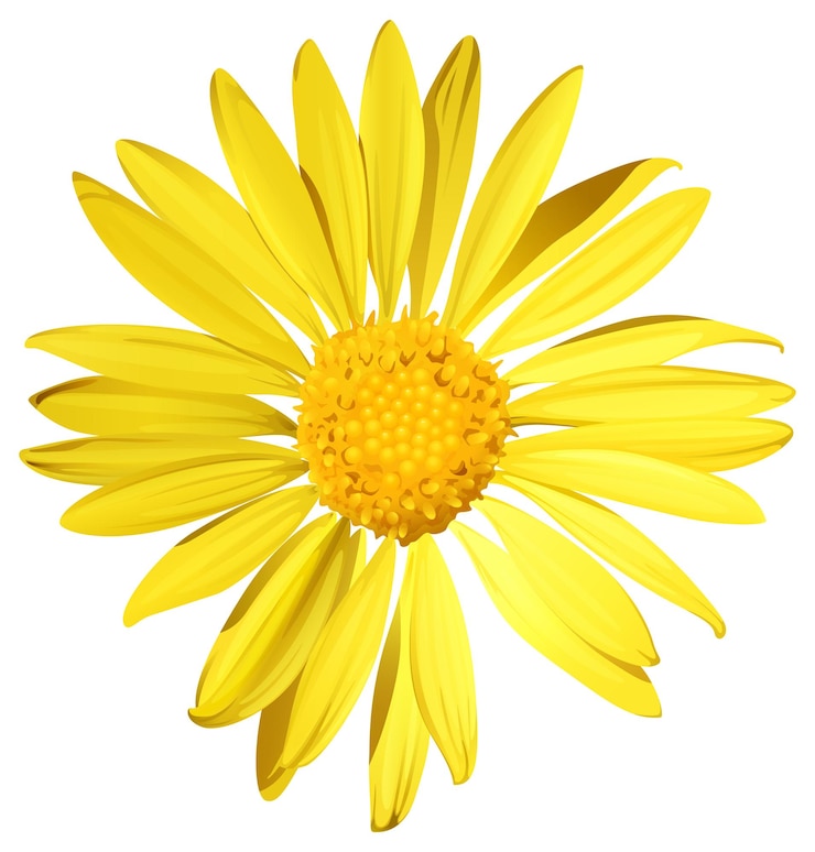 Ücretsiz Vektör a sunflower