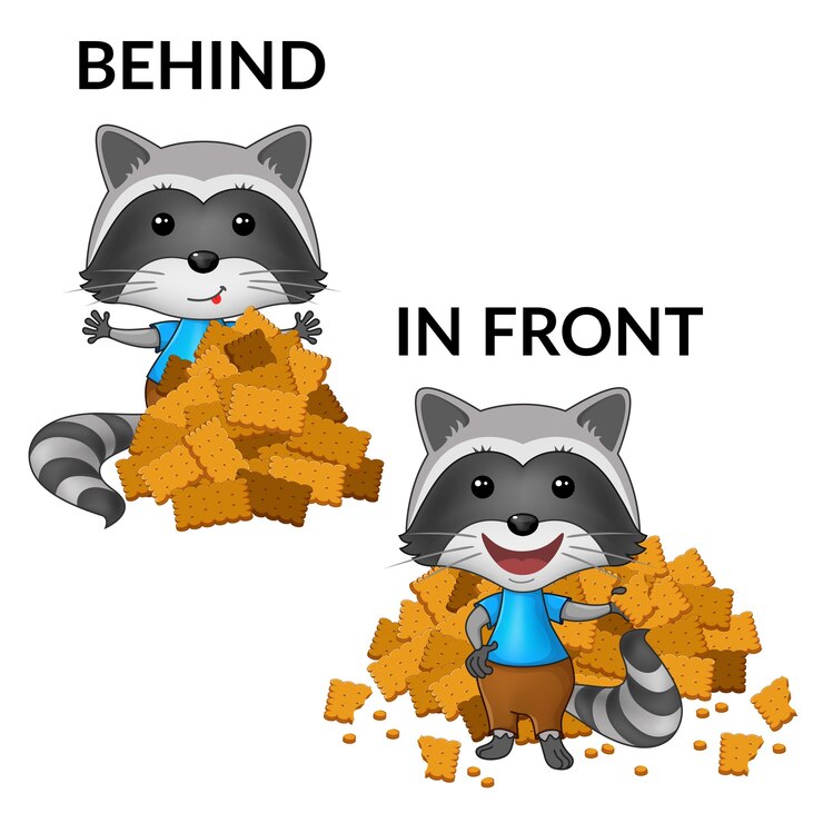 Ücretsiz Vektör cartoon raccoons.