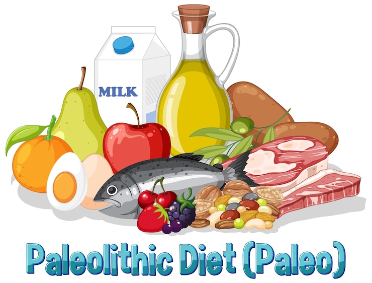 Ücretsiz Vektör colorful paleo diet food illustration