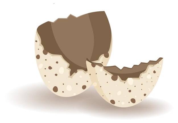 Cracking eggs on white background