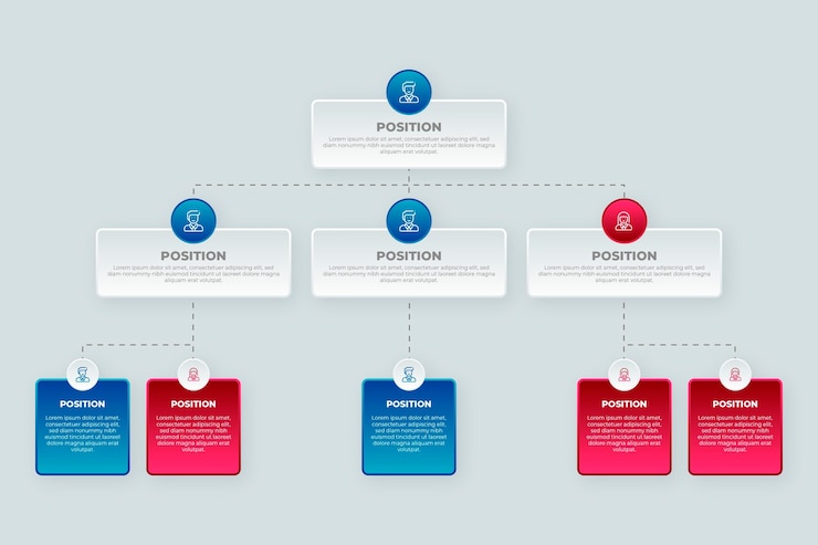 Ücretsiz Vektör degrade organizasyon şeması infografiği