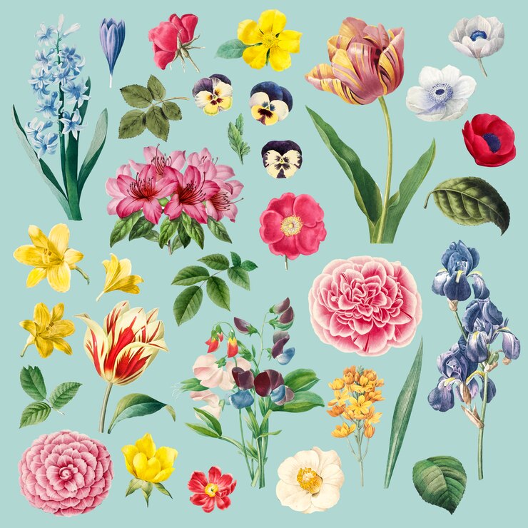 Ücretsiz Vektör different flowers painting set