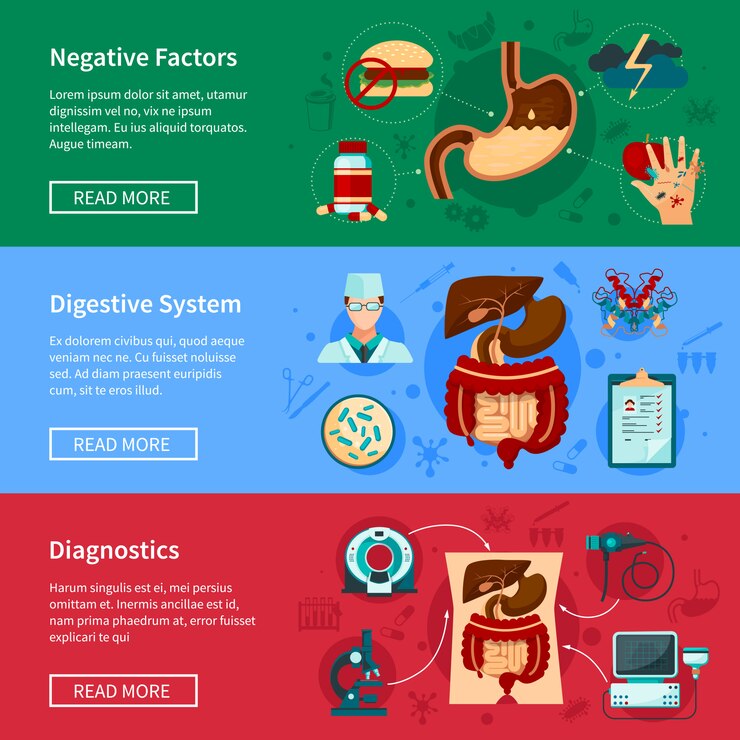 Ücretsiz Vektör digestive system flat banner set