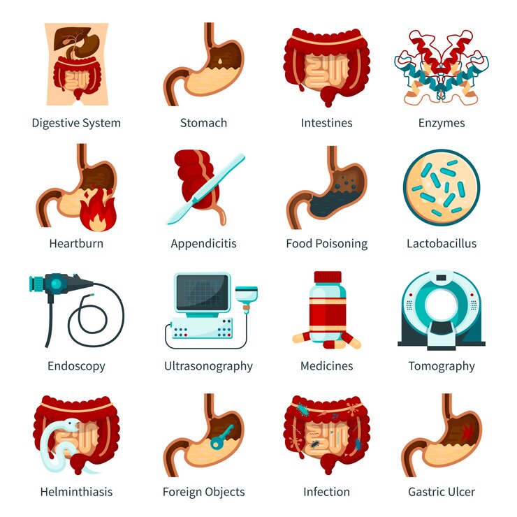 Ücretsiz Vektör digestive system flat icon set