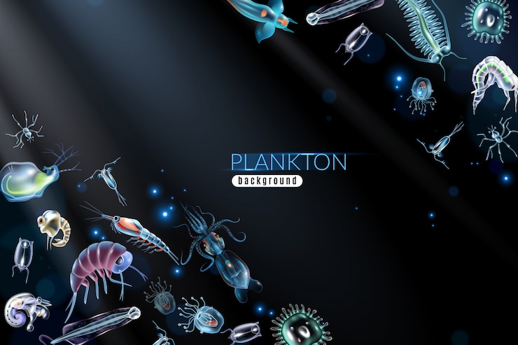 Ücretsiz Vektör fitoplankton ve zooplankton çizgi filmi olan deniz farklı küçük organizmalarla plankton soyut arka plan illüstrasyonu