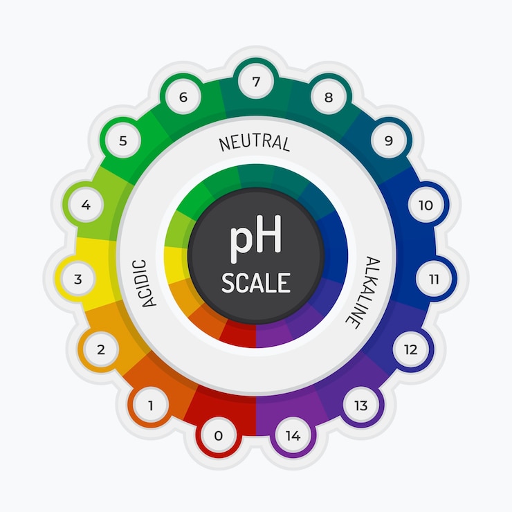 Ücretsiz Vektör flat design ph scale infographic