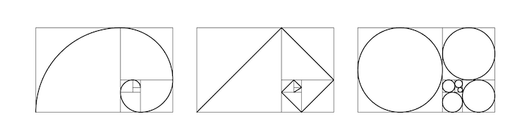 Ücretsiz Vektör golden ratio template harmony proportions outline template composition