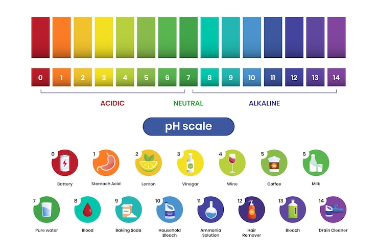 Ücretsiz Vektör gradient ph scale infographic