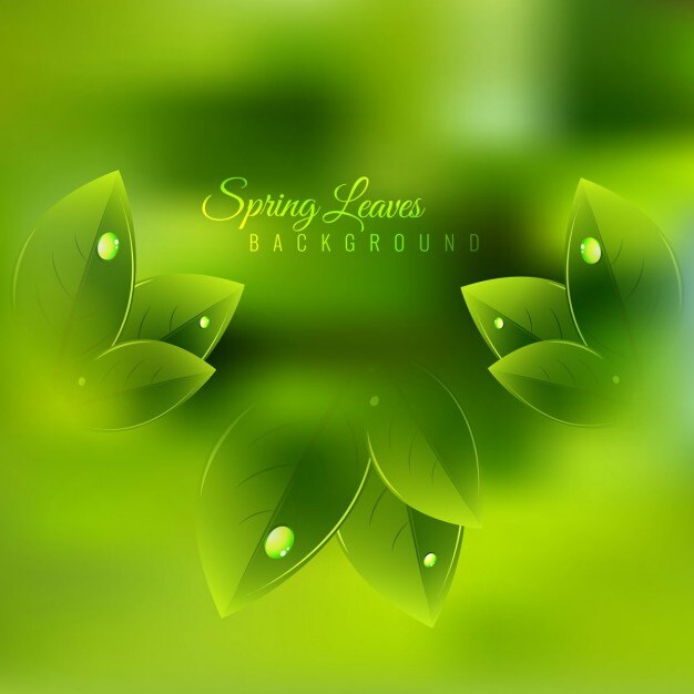 Ücretsiz Vektör green spring background