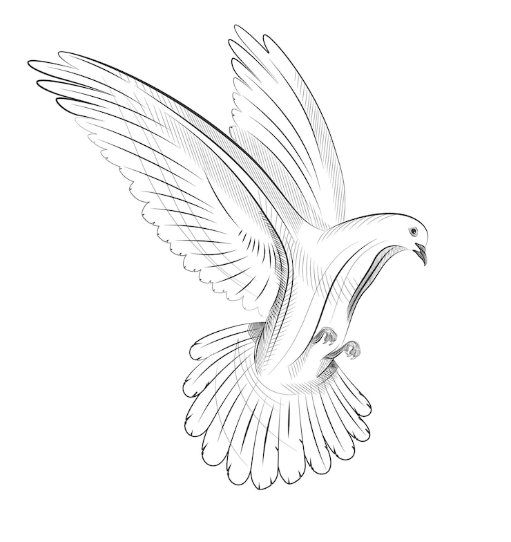Ücretsiz Vektör hand drawn flying pigeon against white background vector illustration