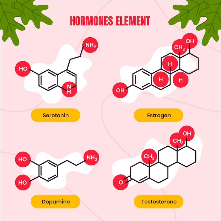 Ücretsiz Vektör hand drawn  hormones element set