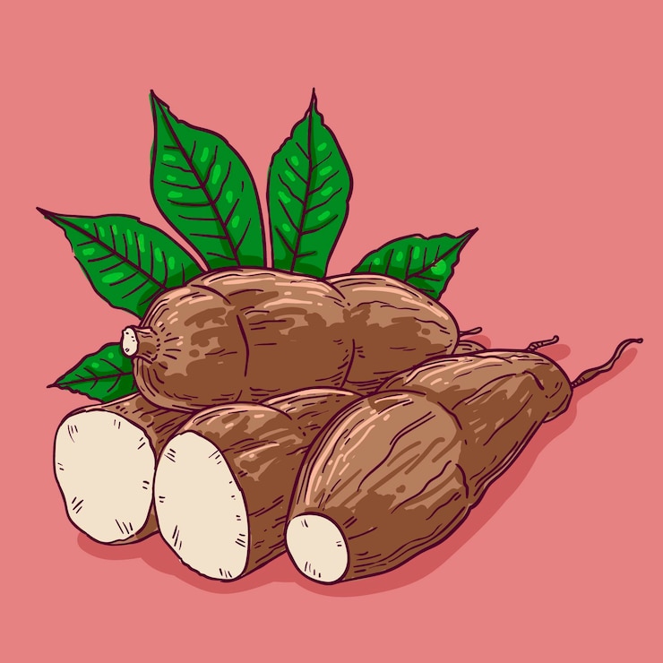 Ücretsiz Vektör hand drawn tapioca