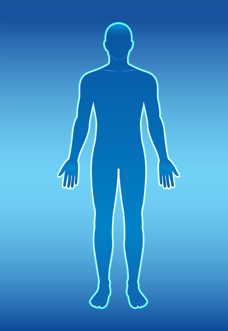 Ücretsiz Vektör human body silhouette on gradient background