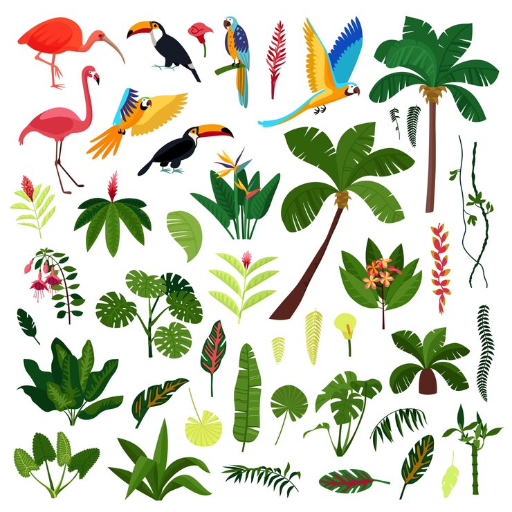 Ücretsiz Vektör jungle plant bird flowers icon set animals and birds palm trees vines with bushes and large leaves vector illustration