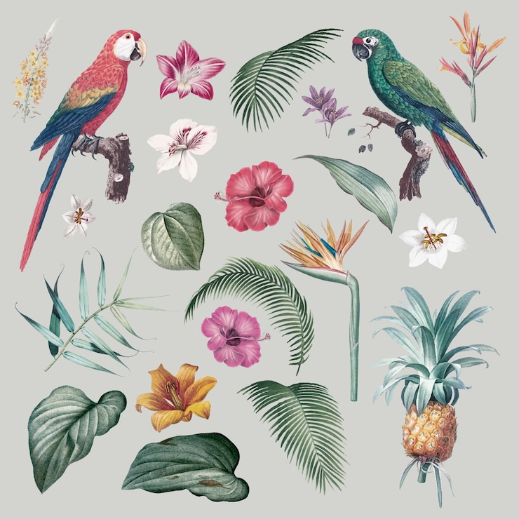 Ücretsiz Vektör macaws and foliage illustration