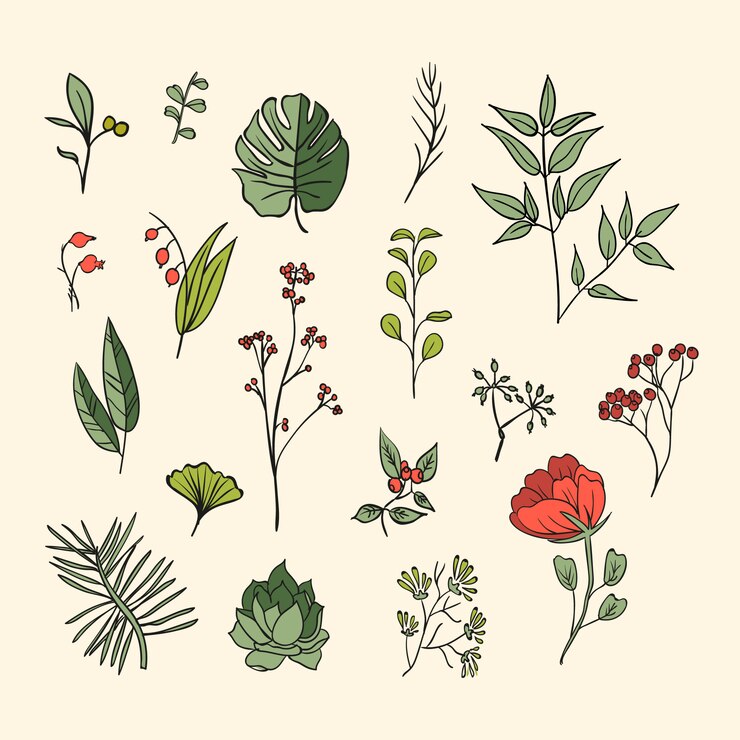 Ücretsiz Vektör plants and herbs icons set. elements for design or invitation card