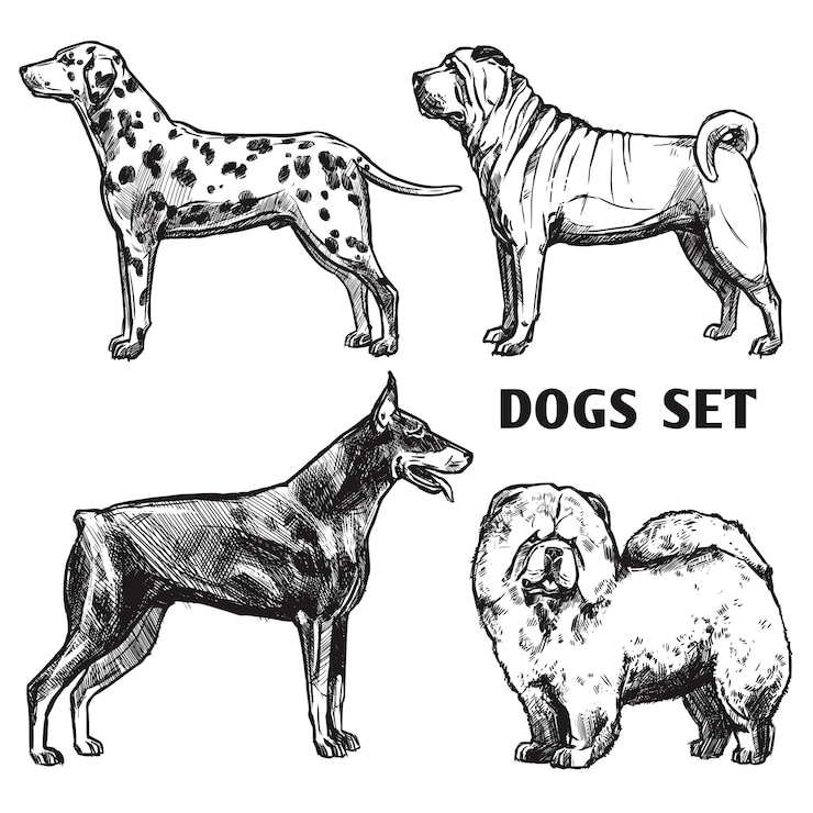 Ücretsiz Vektör sketch dogs portrait set