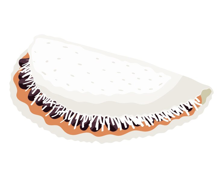 Ücretsiz Vektör tapioca brazil food