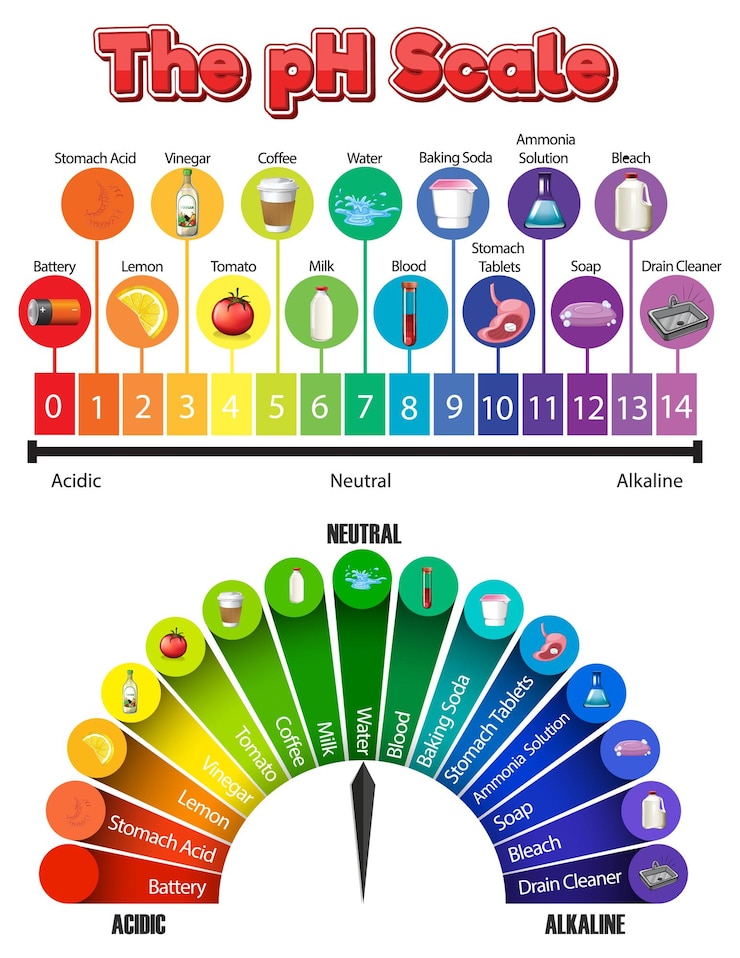 Ücretsiz Vektör the ph scale of common chemicals