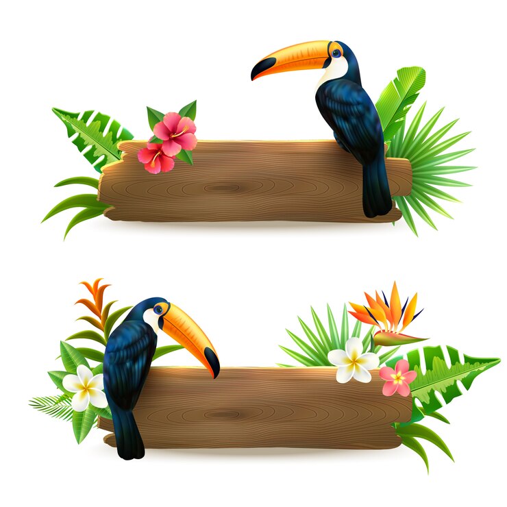 Ücretsiz Vektör toucan tropical rainforest banners 