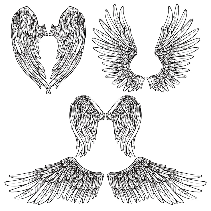 Ücretsiz Vektör wings sketch set