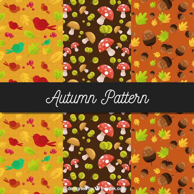 6 Motifs Mignons Avec Des Feuilles D'automne