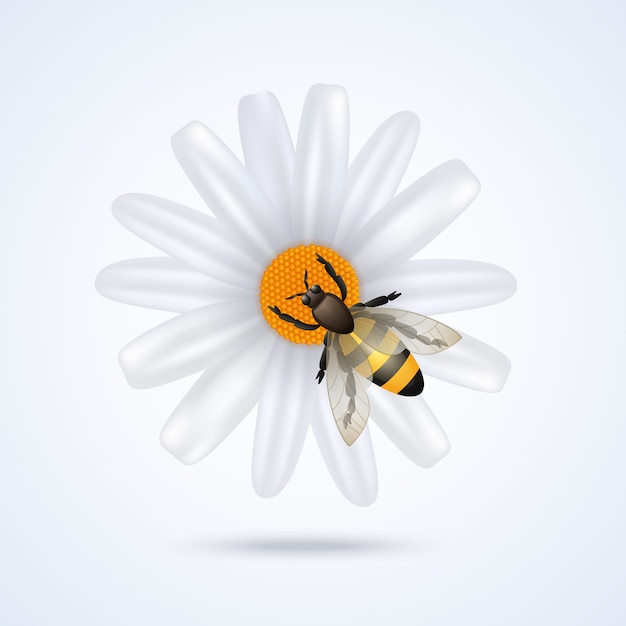 Vecteur gratuit abeille avec fleur