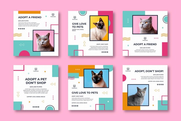 Adoptez une collection de posts Instagram pour animaux de compagnie
