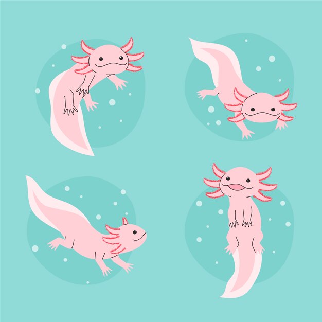 Adorable collection ajolote marine