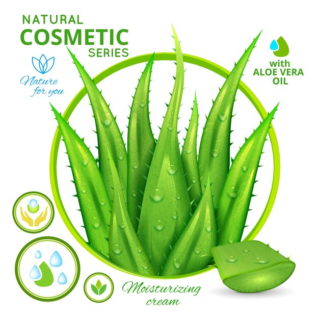 Affiche de cosmétiques naturels à l'aloe vera