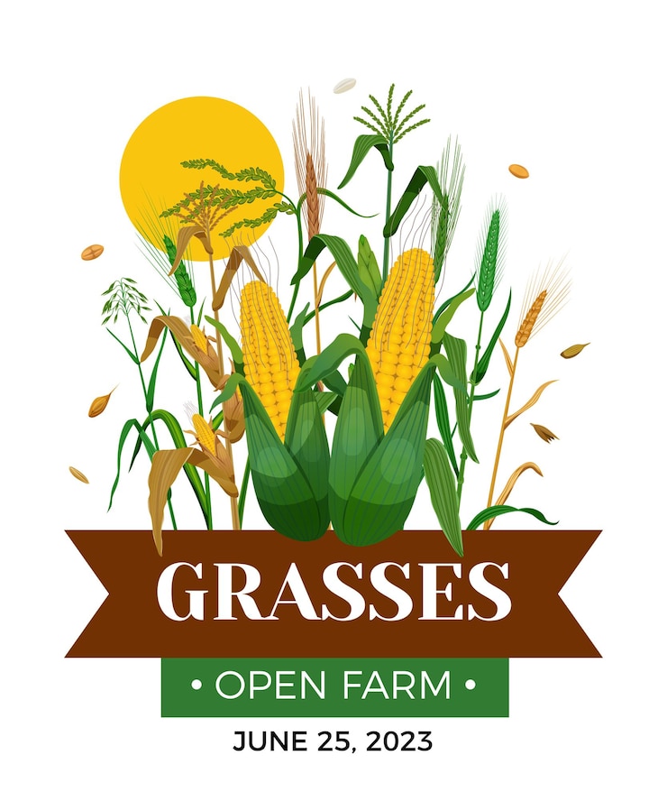 Vecteur gratuit affiche de graminées céréalières avec épis de blé maïs avoine épis d'orge