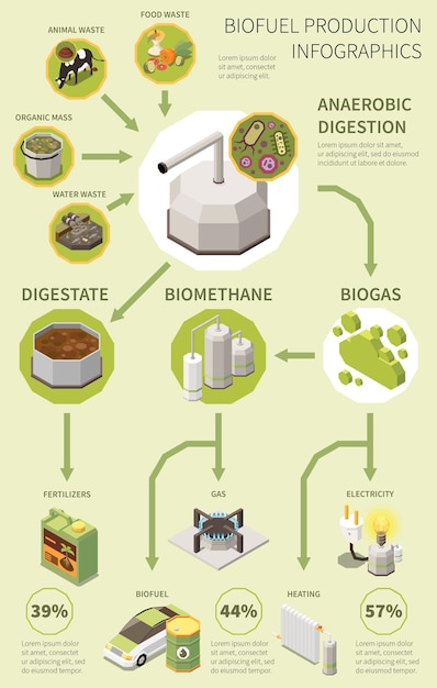 Vecteur gratuit affiche d'infographie sur les biocarburants avec le processus de production de la collecte des déchets organiques et de la digestion anaérobie à l'illustration vectorielle de l'électricité des engrais biogaz
