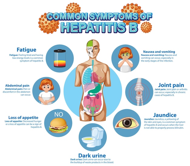 Vecteur gratuit affiche informative des symptômes courants de l'hépatite b