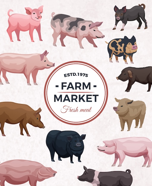 Vecteur gratuit affiche publicitaire du marché agricole avec cadre rond et divers cochons sur la lumière