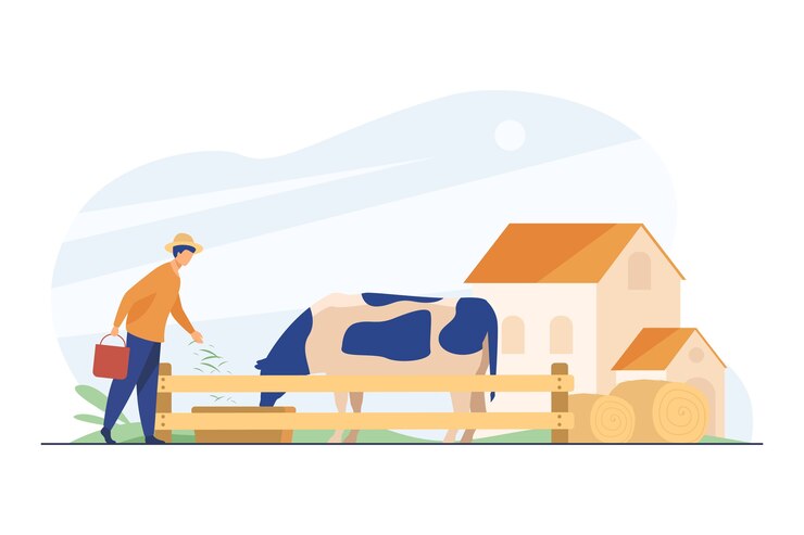 Vecteur gratuit agriculteur nourrir la vache avec de l'herbe.