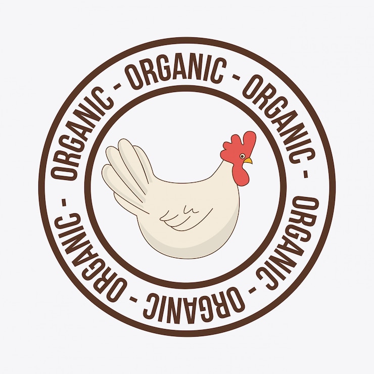 Vecteur gratuit alimentation biologique