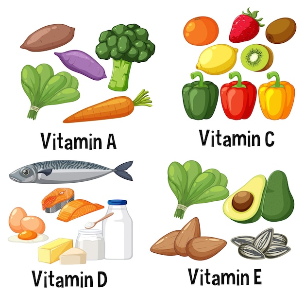 Vecteur gratuit alimentation saine et nutrition vecteur avec fruits légumes et p