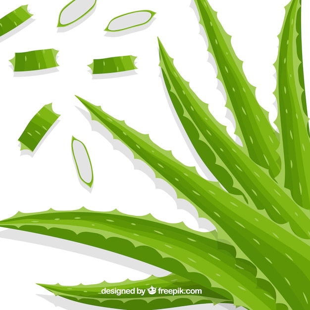 Vecteur gratuit aloe vera background de plante