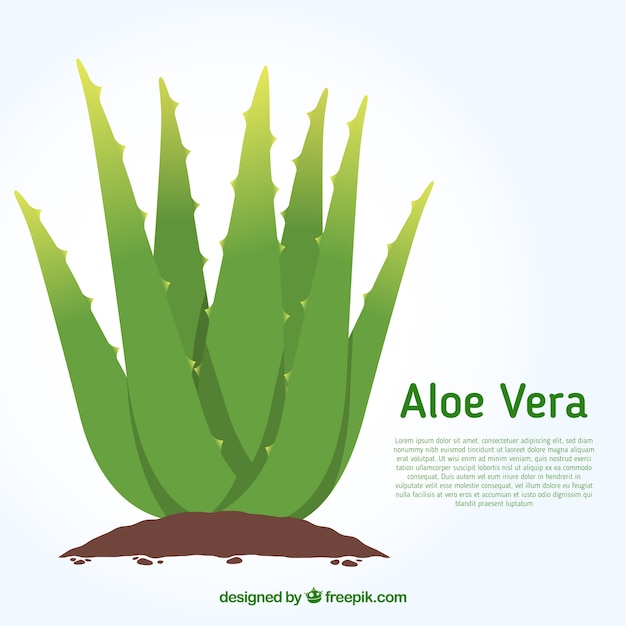 Aloe vera background