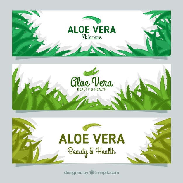 Aloe Vera Bannières Avec Des Feuilles