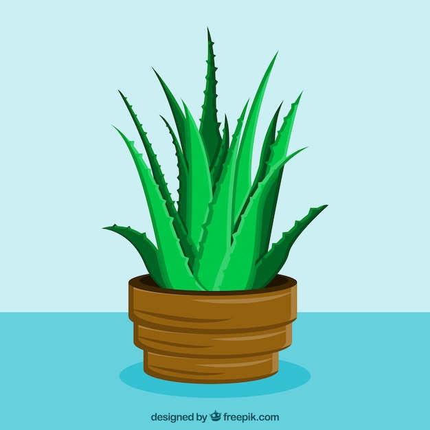 Vecteur gratuit aloe vera potting pot background