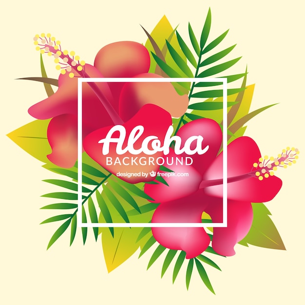 Aloha Background Avec Des Fleurs Roses