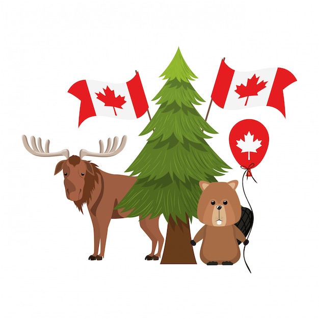 Vecteur gratuit animal castor et orignal du canada