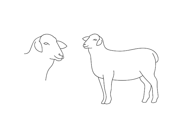 Animal de ferme d'illustration linéaire vectorielle - mouton isolé sur fond blanc.
